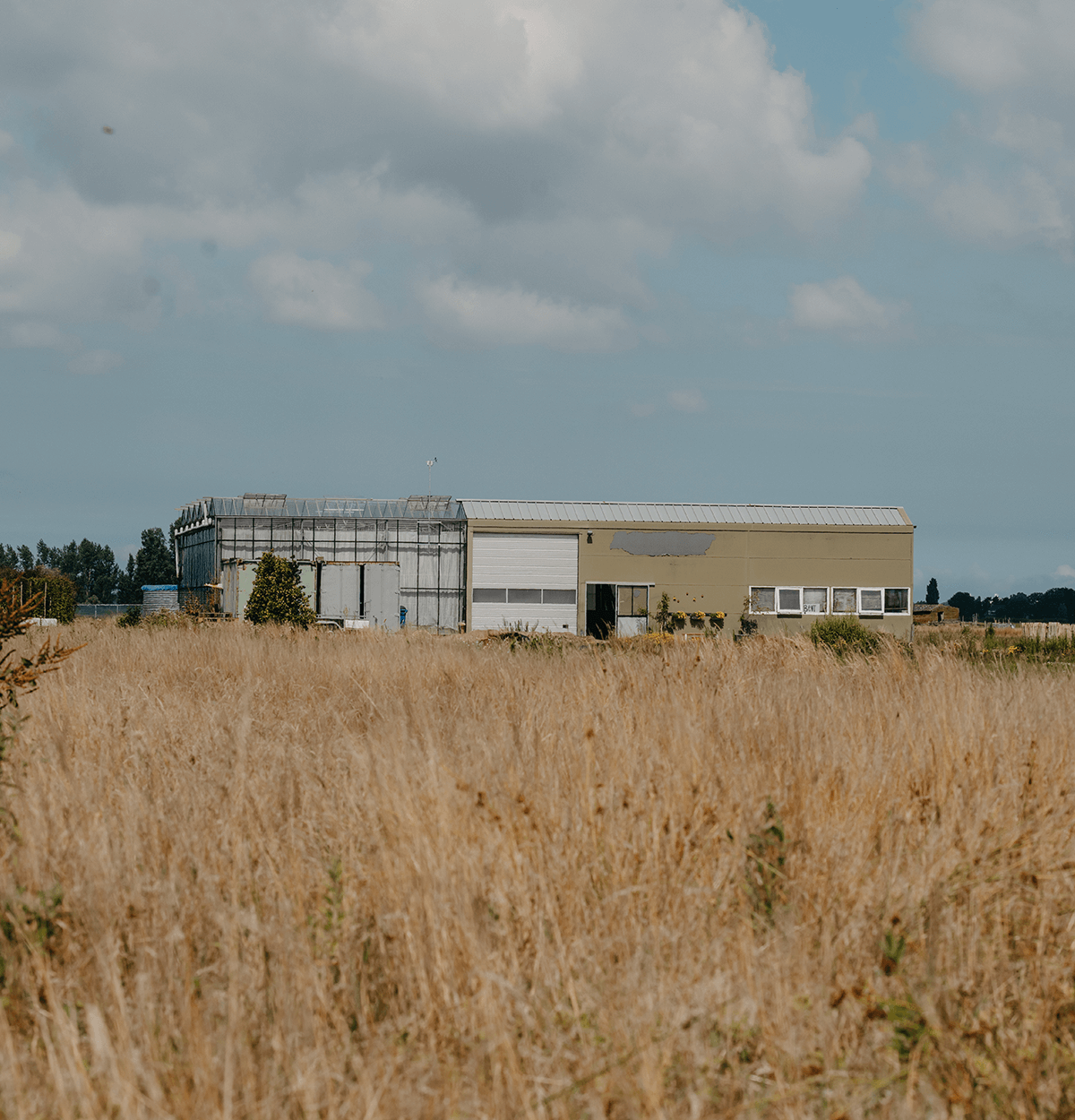 De Loods, Hazerswoude-Dorp